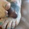Onlyfans – PiperSweetfeet_60_pipersweetfeet-27-02-2022-2377033452-This one was a little more complicated, you can’t tell by looking, but I was putting a lot_Footjob-Porn Leak