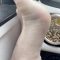 Onlyfans – Tuffie Arch Queen_007_tuffiearchqueen-02-01-2022-2318214350-happy new year 2022 finna be lit @dfmexoticstudios_Footjob-HD Leak